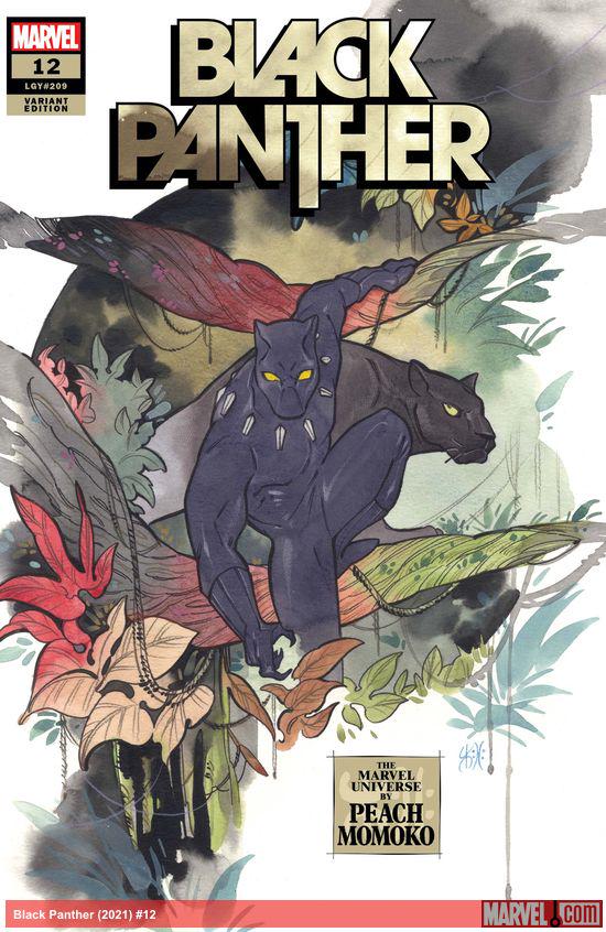 Black Panther (2021) #12 (Variant)