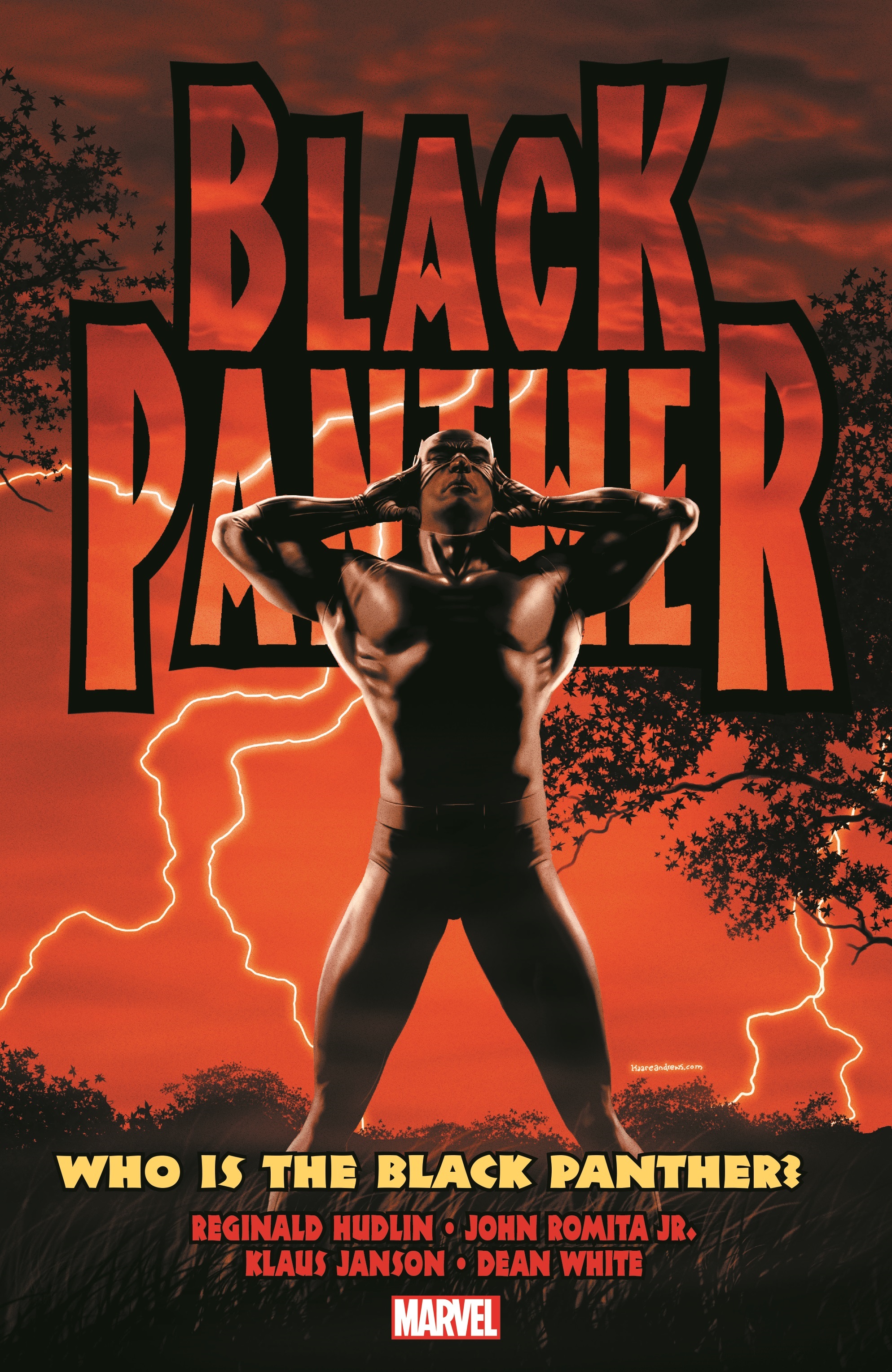 Barnes & Noble Black Panther: Who Is the Black Panther? (Trade Paperback)