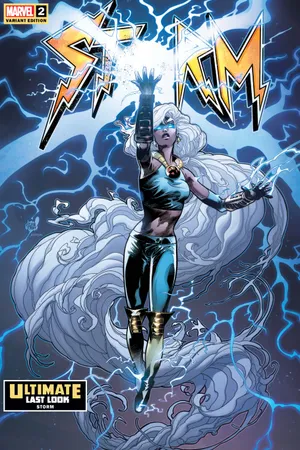 Storm (2023) #2 (Variant) | Comic Issues | Marvel