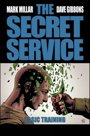 Secret Service (2012) #2