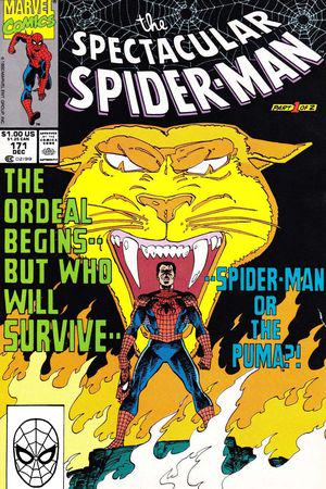 Peter Parker, the Spectacular Spider-Man (1976) #171
