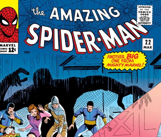 Amazing Spider-Man (1963) #22