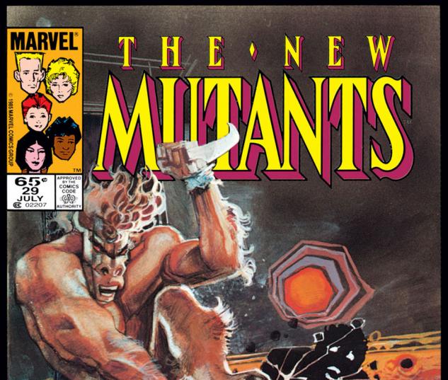 New Mutants (1983) #29 Cover