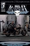 Punisher (2001) #30 Cover