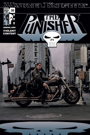 Punisher (2001) #30