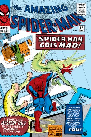 The Amazing Spider-Man (1963) #24
