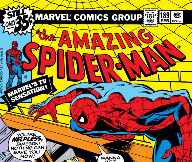 Amazing Spider-Man (1963) #189 Cover