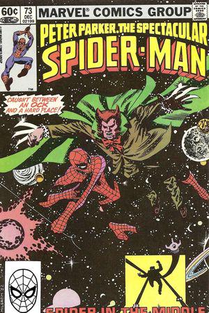 Peter Parker, the Spectacular Spider-Man (1976) #73