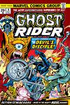 Ghost Rider #8