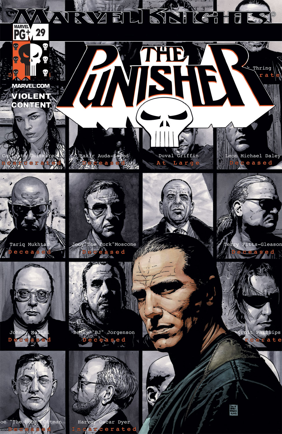 Punisher (2001) #29