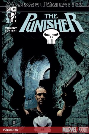 Punisher #23 