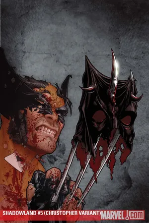 Shadowland (2010) #5 (CHRISTOPHER VARIANT)