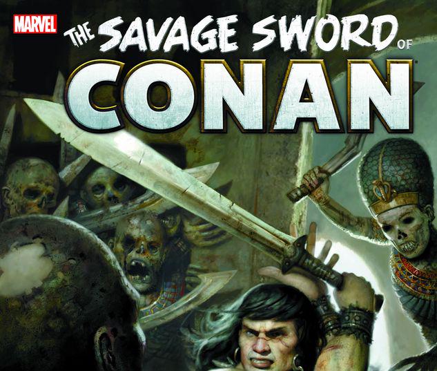 SAVAGE SWORD OF CONAN: THE ORIGINAL MARVEL YEARS OMNIBUS VOL. 3 HC BROWN COVER #3