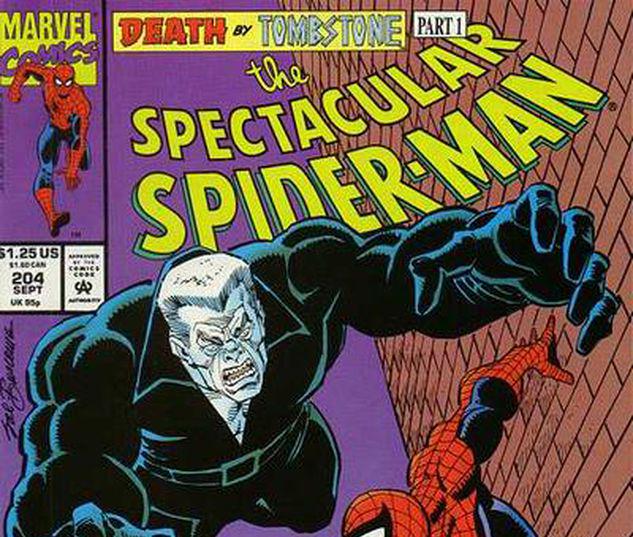 Spectacular Spider-Man #204