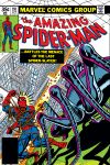 Amazing Spider-Man (1963) #191 Cover