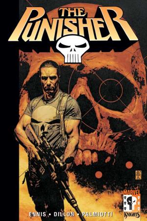 Punisher, the Vol. I: Welcome Back, Frank (Trade Paperback)