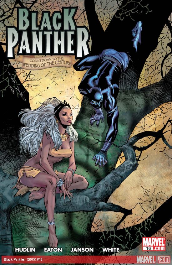 Black Panther (2005) #16