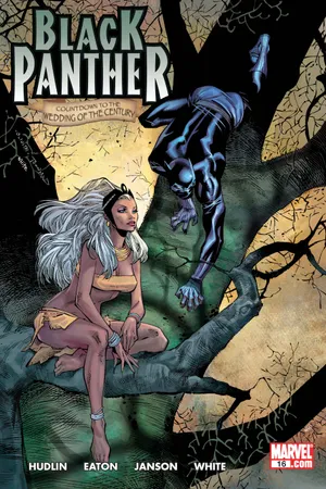 Black Panther (2005) #16