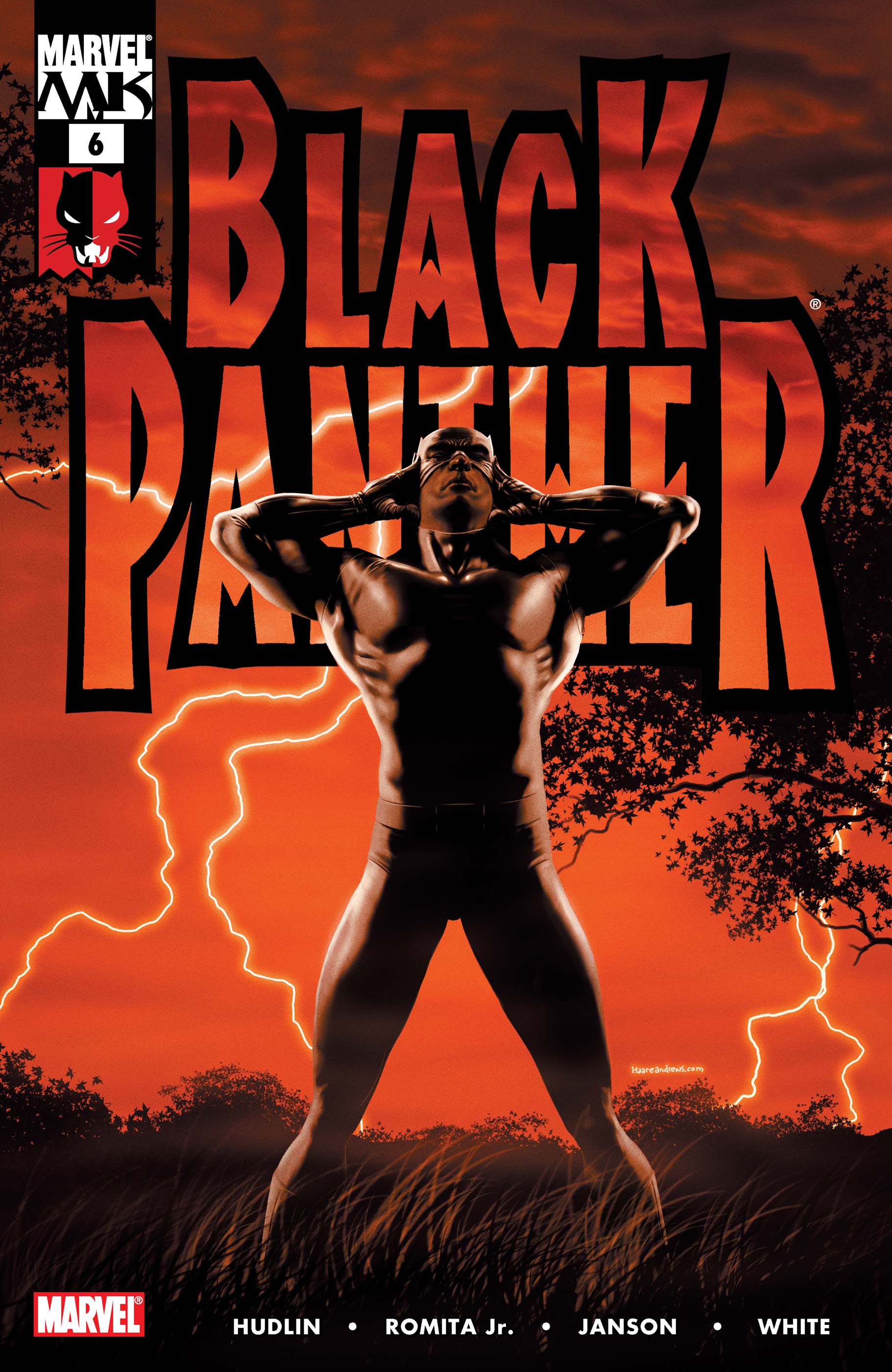 Black Panther (2005) #6
