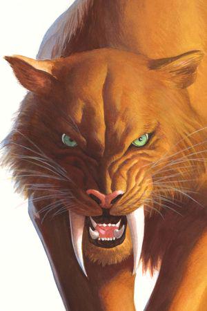 Black Cat (2025) #2 (Variant)