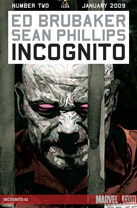 Incognito (2008) #2