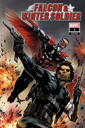 Falcon & Winter Soldier #1  (Variant)