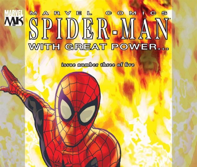 SPIDER_MAN_WITH_GREAT_POWER_2008_3
