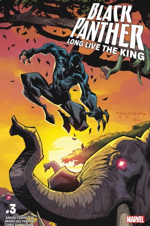 Black Panther - Long Live the King #3 