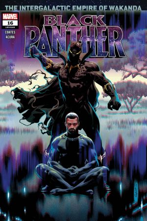 Black Panther #16 