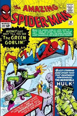 The Amazing Spider-Man (1963) #14