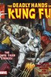 DEADLY_HANDS_OF_KUNG_FU_1974_27