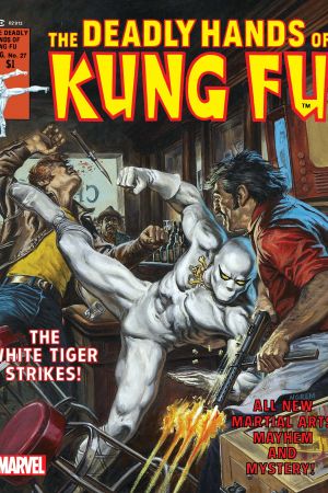 Deadly Hands of Kung Fu (1974) #27