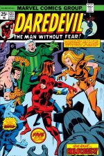 Daredevil (1964) #123