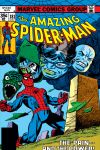 Amazing Spider-Man (1963) #181 Cover
