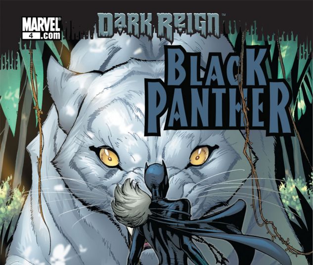 Black Panther (2008) #4