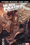 Black Panther: The Man Without Fear (2010) #519