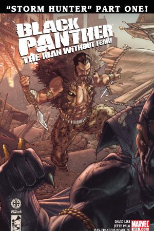 Black Panther: The Man Without Fear #519 