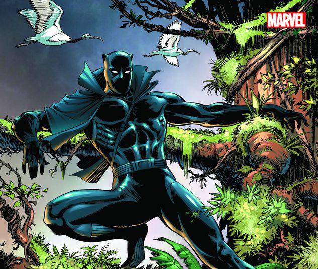 BLACK PANTHER: PANTHER'S QUEST TPB #0
