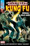 DEADLY_HANDS_OF_KUNG_FU_1974_11