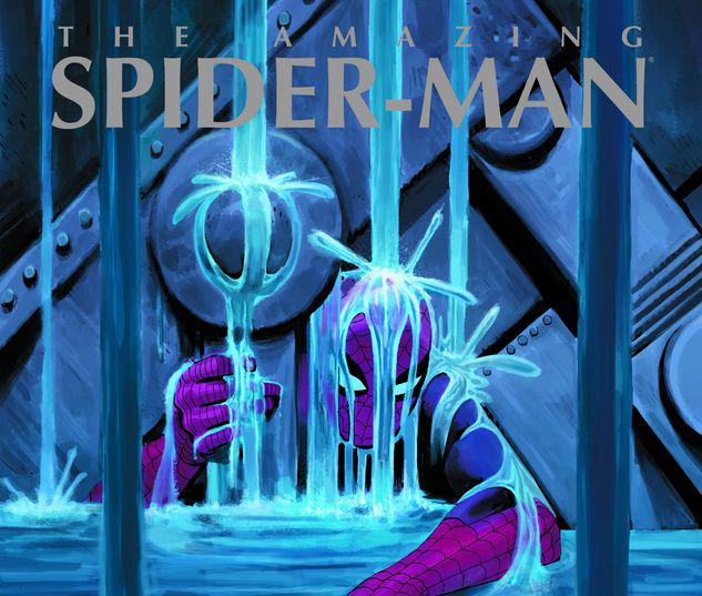 Marvel Masterworks: The Amazing Spider-Man Vol. 4 #0