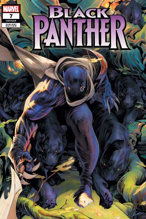 Black Panther #7  (Variant)