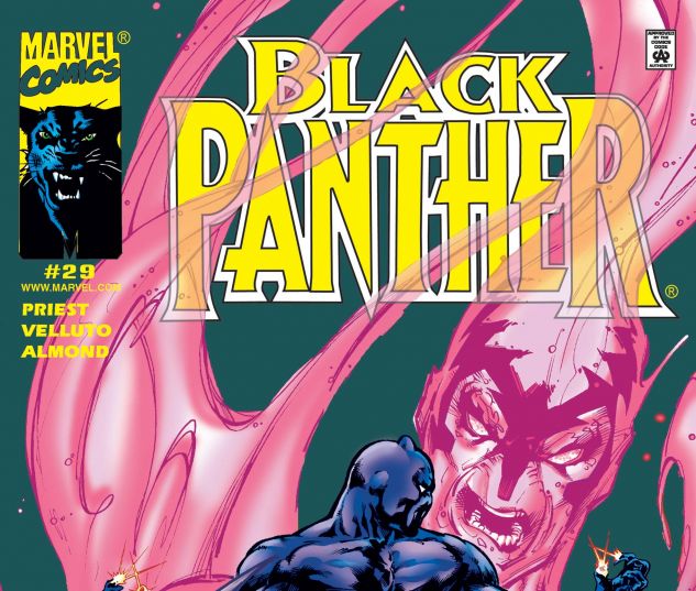 BLACK PANTHER (1998) #29