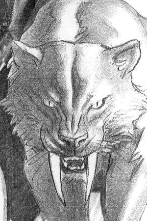 Black Cat (2025) #2 (Variant)