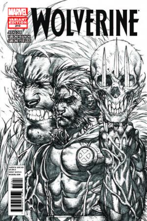 Wolverine #310  (Sketch Variant)