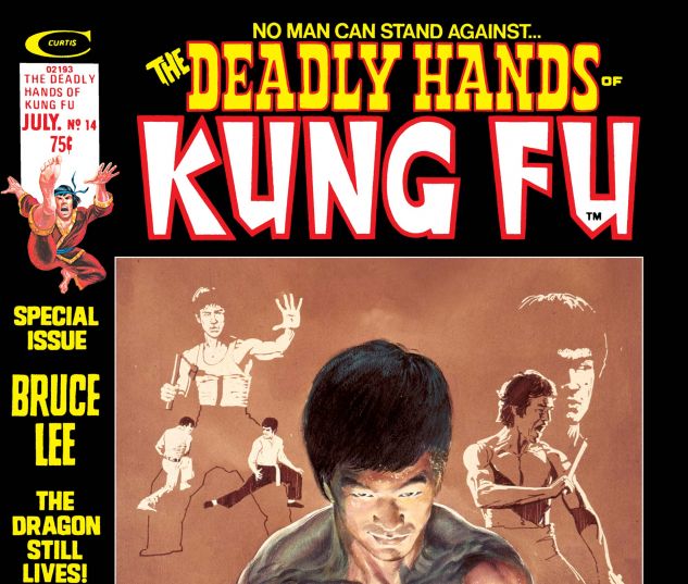 DEADLY_HANDS_OF_KUNG_FU_1974_14