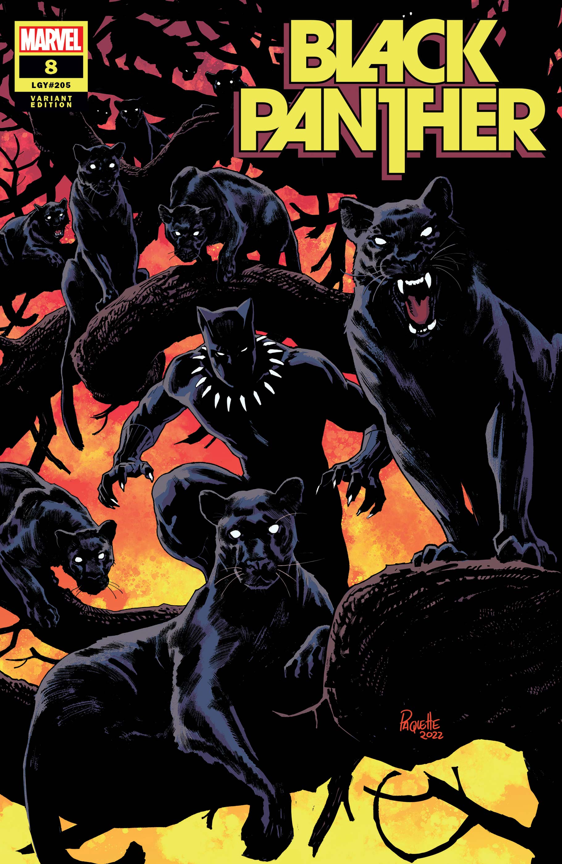 Black Panther (2021) #8 (Variant)