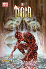 The Torch (2009) #7