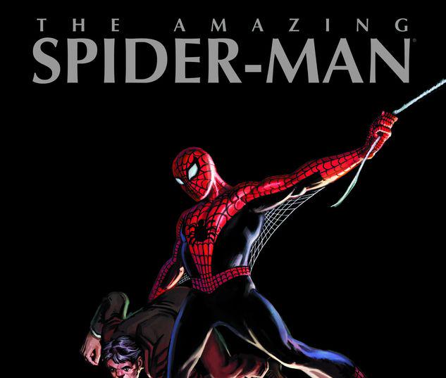 MARVEL MASTERWORKS: THE AMAZING SPIDER-MAN VOL. 1 TPB #1