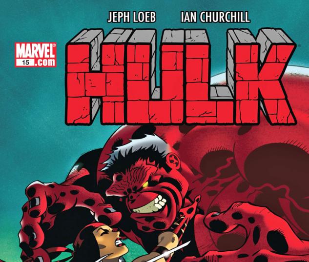 Cover: Hulk (2008) #15