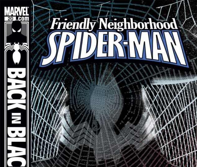  Friendly_Neighborhood_Spider_Man_20